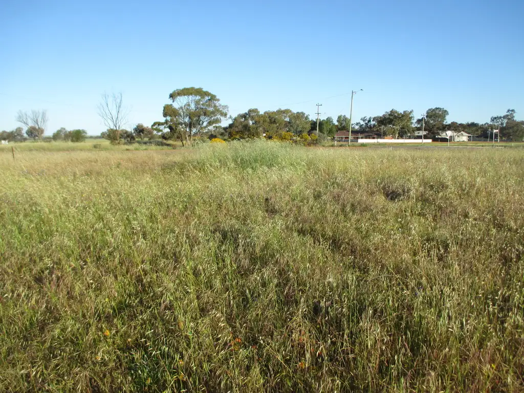 Main view of Homely land listing, 1 Millard Drive, Three Springs WA 6519