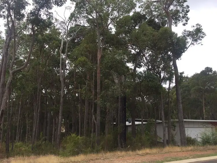 Main view of Homely land listing, 16 (308) Wandoo Place, Cowaramup WA 6284