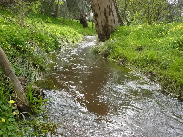 Second view of Homely rural property listing, 1586 Glenrowan Boweya Road, Taminick VIC 3675