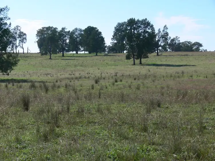 Second view of Homely rural property listing, 228 Cannons Rd, Gooloogong, Cowra NSW 2794