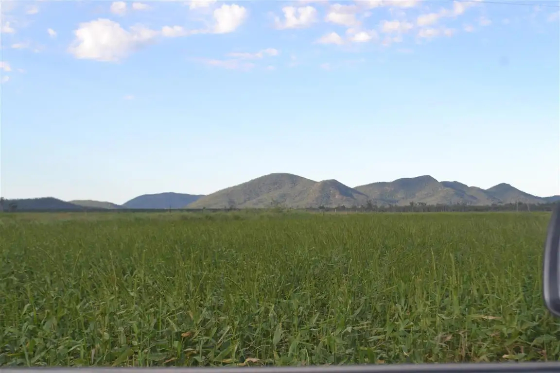 Main view of Homely rural property listing, . Paddy's Swamp Road, Stanage QLD 4702