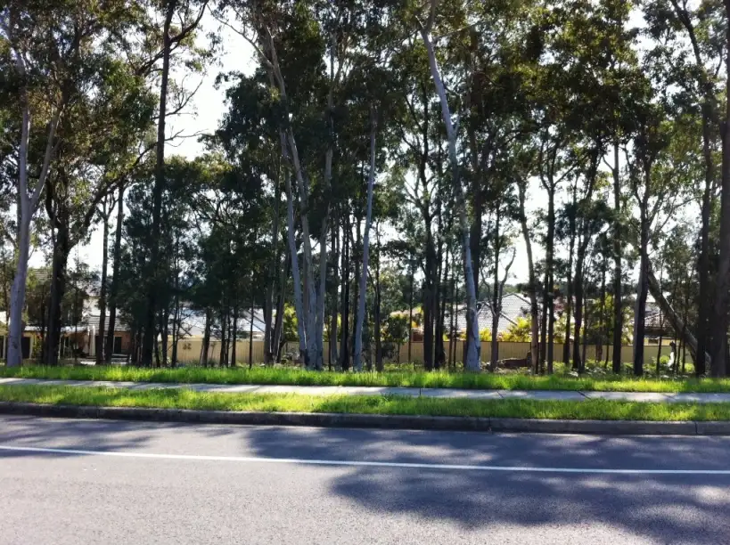 Main view of Homely land listing, 118 Waikiki Road, Bonnells Bay NSW 2264