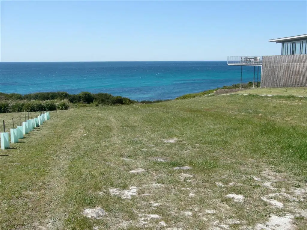 Main view of Homely land listing, 25B Morrison Street, Falmouth TAS 7215