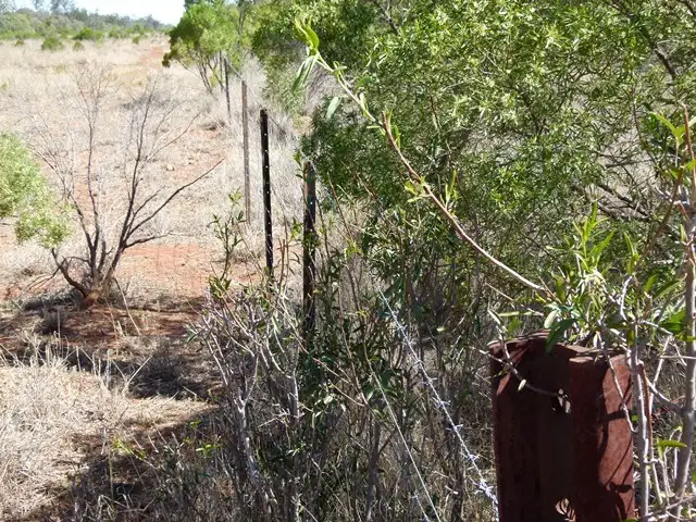 Fourth view of Homely rural property listing, 10 Daymar Rd, Thallon QLD 4497