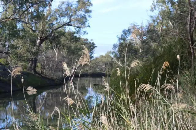 Seventh view of Homely land listing, Allott. 372 THAMM ROAD, Morgan SA 5320
