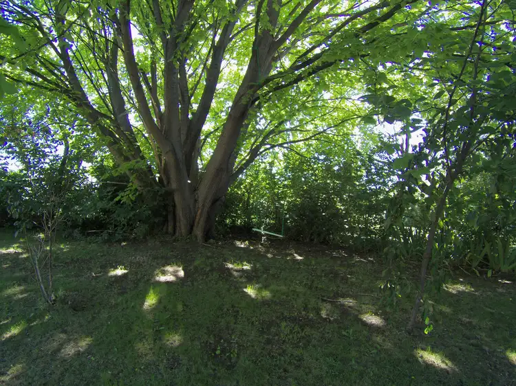 Seventh view of Homely house listing, 14 Murray Street, Cooma NSW 2630