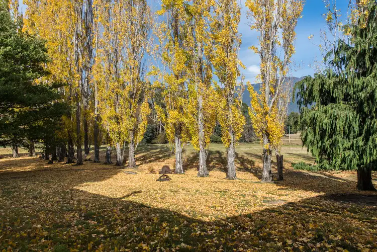 Sixth view of Homely rural property listing, 141 Myrtle Creek Road, Liffey TAS 7301