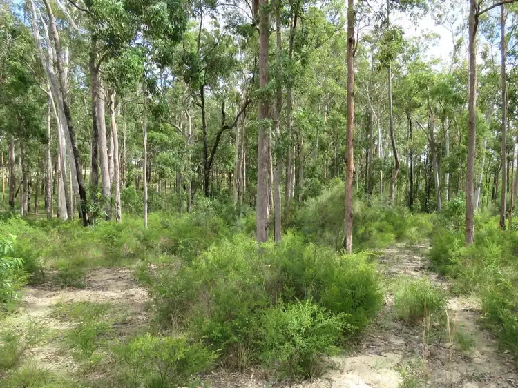 Seventh view of Homely land listing, 27 Donnington Drive, D'aguilar QLD 4514