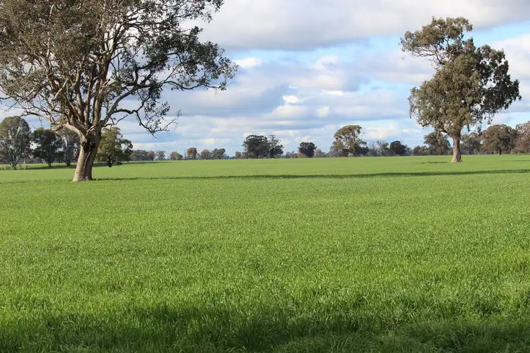 2466 Mulwala / Corowa Road, Mulwala NSW 2647