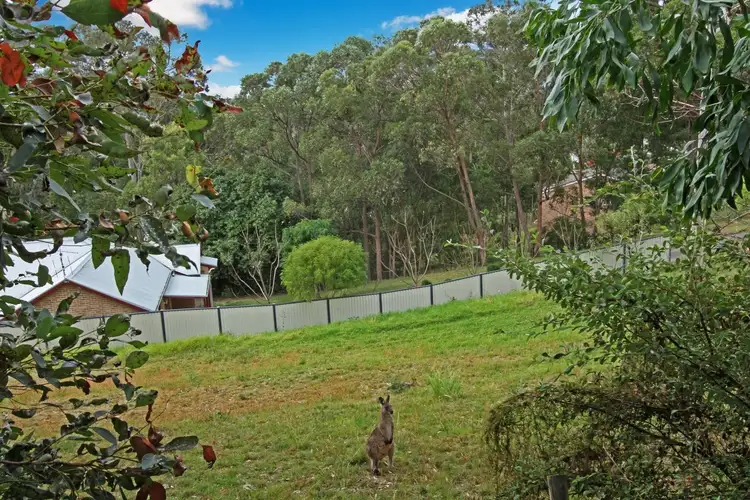 Seventh view of Homely land listing, 14 Bellbird Close, Surfside NSW 2536