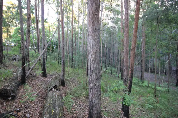 Fifth view of Homely land listing, 25 Caringal Drive, Middle Brother NSW 2443