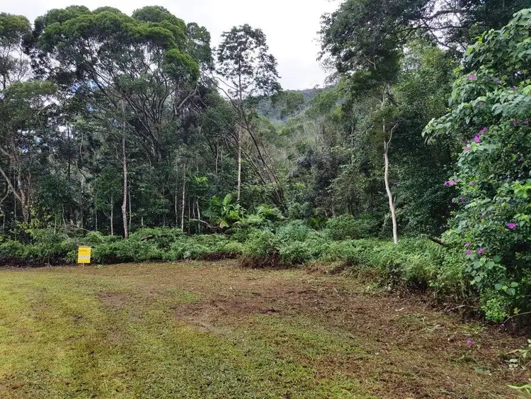 Fourth view of Homely land listing, 11 Thornton Peak Drive, Daintree QLD 4873