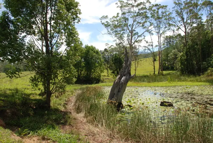 Fifth view of Homely rural property listing, 3222 (Lot 2) Kyogle Road,'Burrellea', Mount Burrell NSW 2484