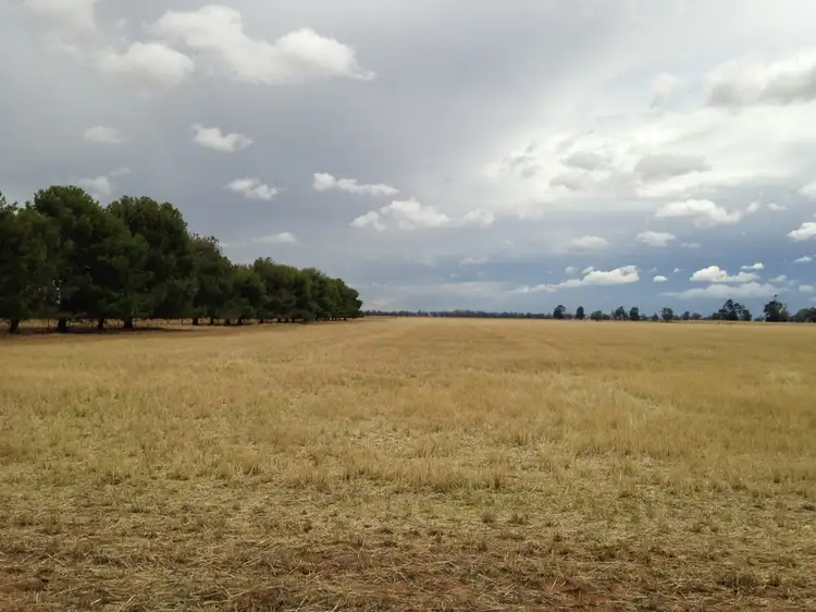 Fourth view of Homely rural property listing, Address available on request