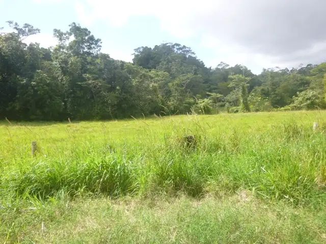 Sixth view of Homely rural property listing, Address available on request