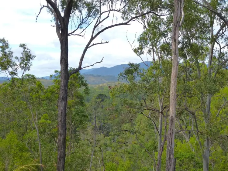 Sixth view of Homely rural property listing, 292 Forestry Road, Colosseum QLD 4677