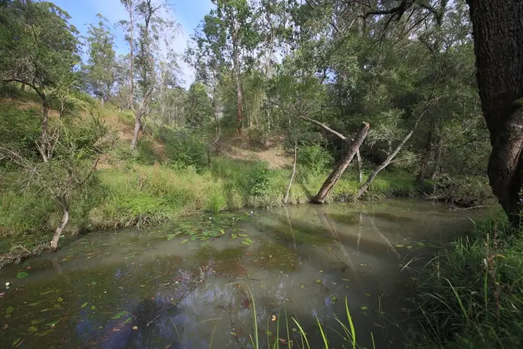 Third view of Homely rural property listing, Lot 21 Frickers Road, Nymboida NSW 2460