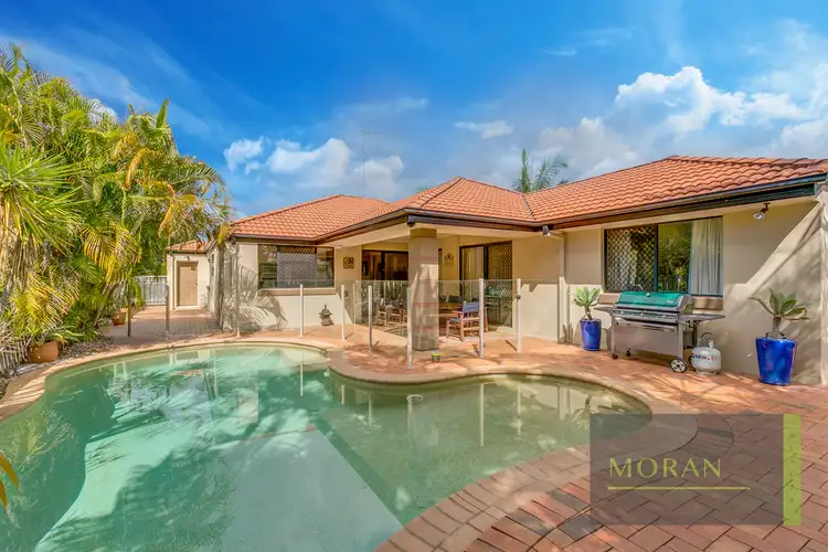 Main view of Homely house listing, 6 Crestbrook Glen, Molendinar QLD 4214