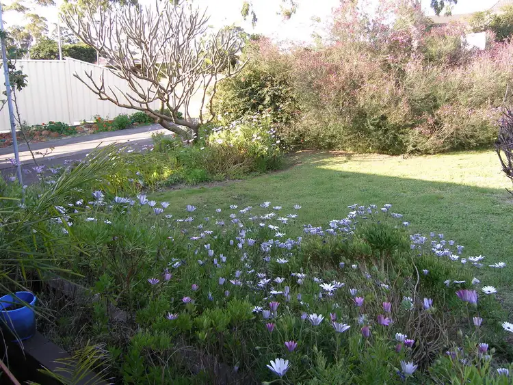 Seventh view of Homely house listing, 107 Riseley Street, Ardross WA 6153