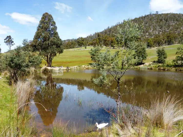 Second view of Homely rural property listing, Lot 1 Native Corners Road, Campania TAS 7026