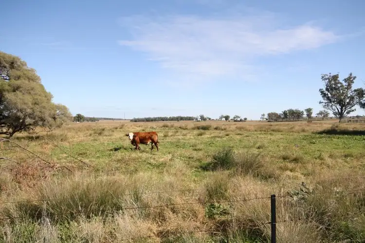 Third view of Homely land listing, 3/1489 Kaputar Road Narrabri, Narrabri NSW 2390