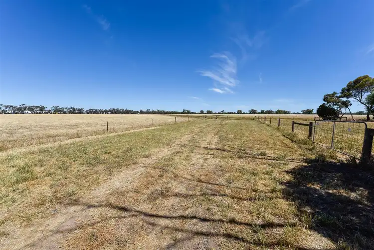 Second view of Homely rural property listing, 353B Cannawigara Road, Bordertown SA 5268
