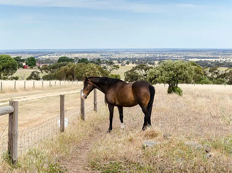 208 Wattle Flat Road, Strathalbyn SA 5255