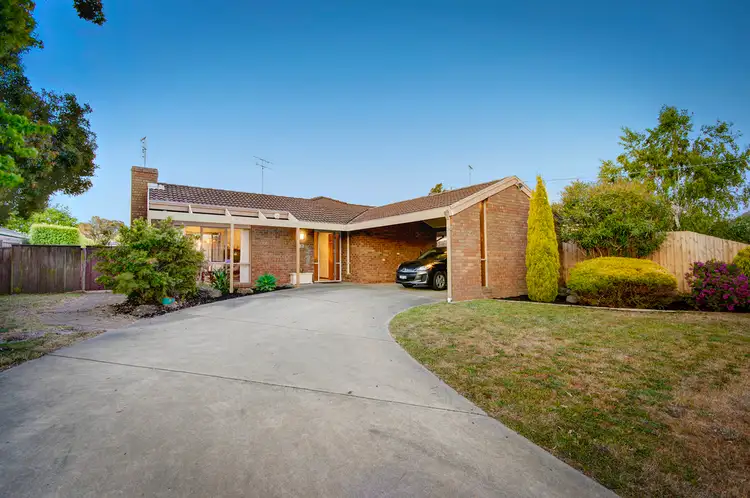16 Hazlewood Crescent, Leopold VIC 3224