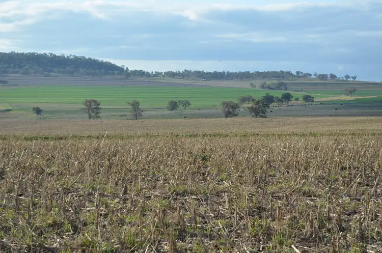 Sixth view of Homely land listing, 239 McGovern Road, Headington Hill QLD 4361