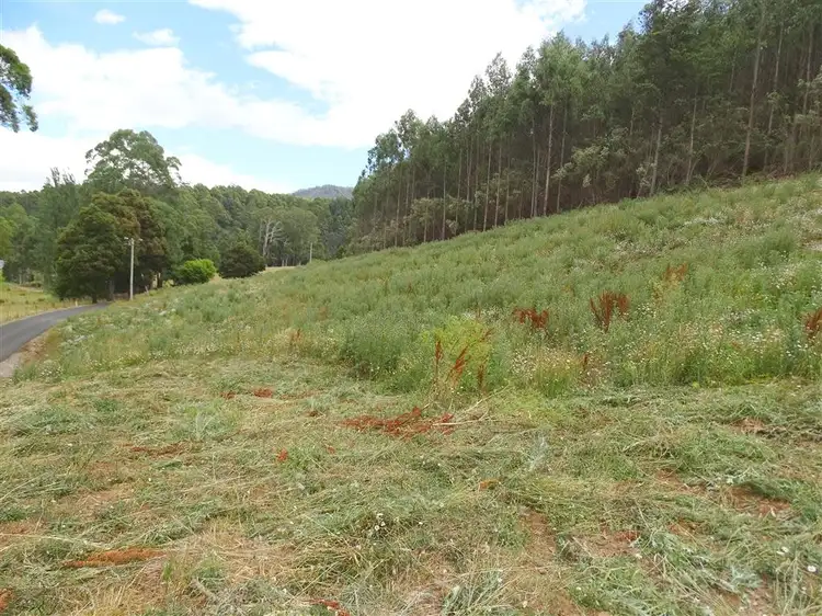 Main view of Homely land listing, . Lobster Creek Road, West Ulverstone TAS 7315