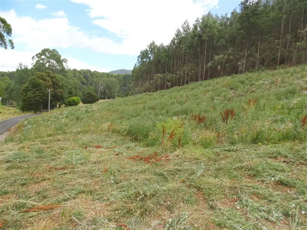 Main view of Homely land listing, . Lobster Creek Road, West Ulverstone TAS 7315