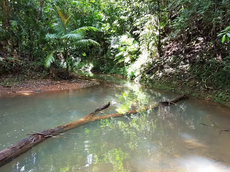 60 Silver Ash Road, Daintree QLD 4873