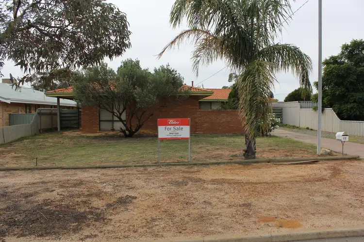 Main view of Homely house listing, 22 Priestley Street, Merredin WA 6415