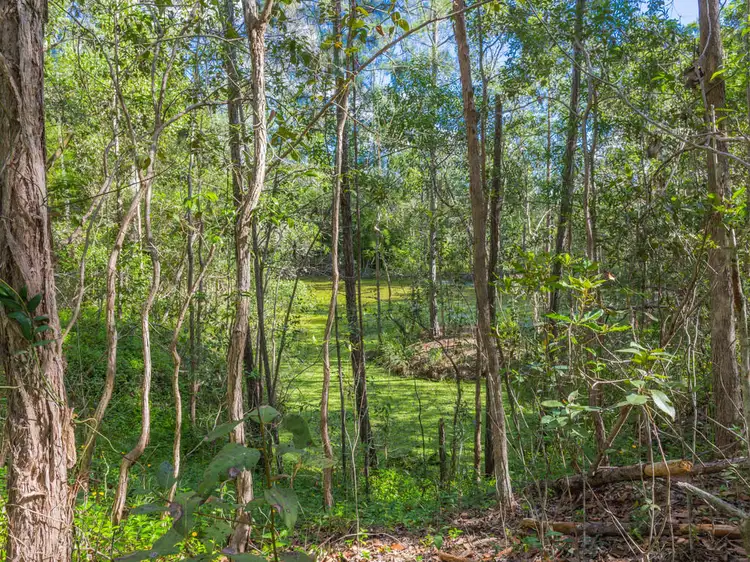 Seventh view of Homely land listing, L5 Hovea Road, Ridgewood QLD 4563