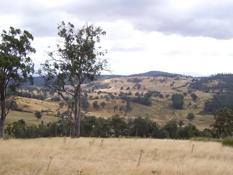 Fifth view of Homely rural property listing, . Gully Road, Fentonbury TAS 7140