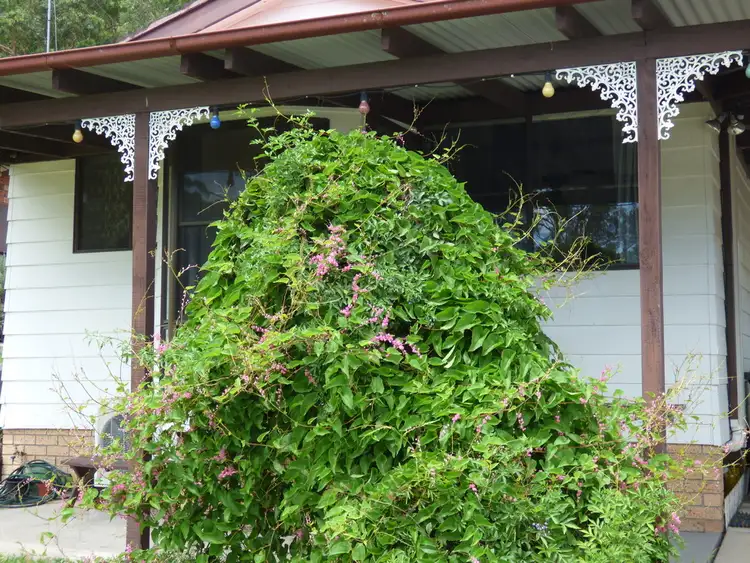 Fourth view of Homely house listing, 16 King St., Blackalls Park NSW 2283