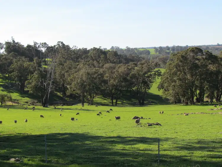 Sixth view of Homely rural property listing, Lot 733 Winnejup Road, Mayanup WA 6244