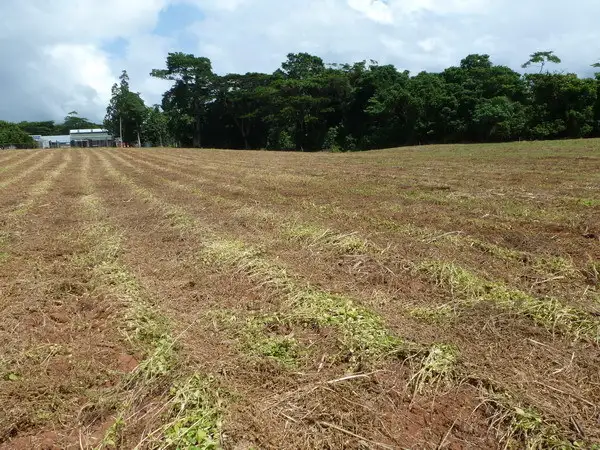 Main view of Homely land listing, Address available on request