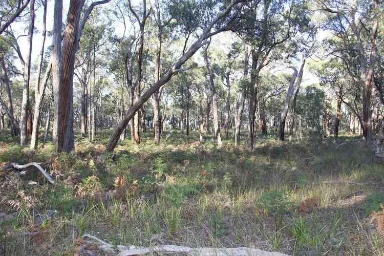 Third view of Homely rural property listing, Lot 3 Andersons Lane, Stradbroke VIC 3851