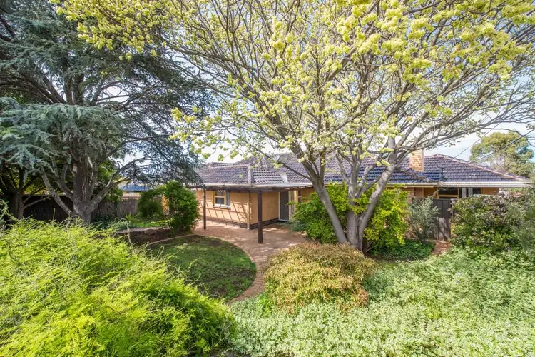 Second view of Homely house listing, 6 David Terrace, Morphett Vale SA 5162