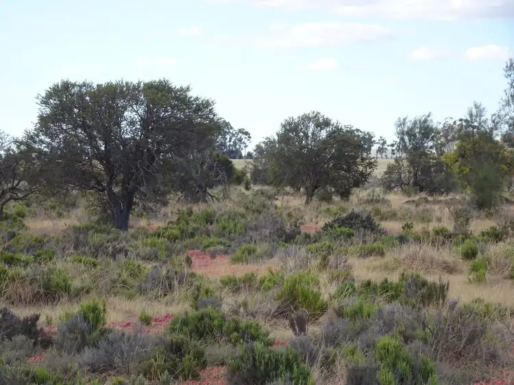 Sixth view of Homely rural property listing, 649 Bullock Hills Road, Wagin WA 6315