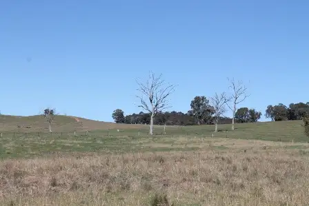 Third view of Homely land listing, Address available on request