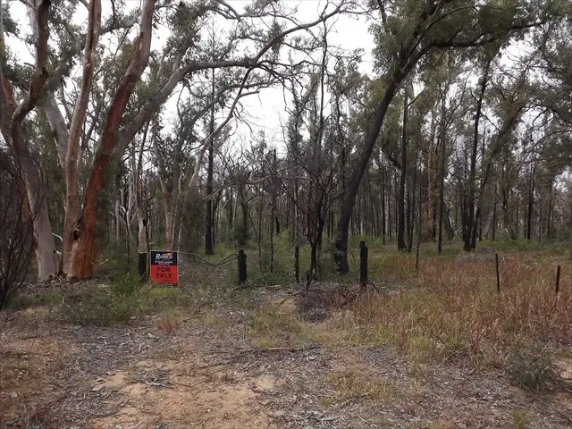 Fifth view of Homely land listing, Passchendale Timor Road, Coonabarabran NSW 2357