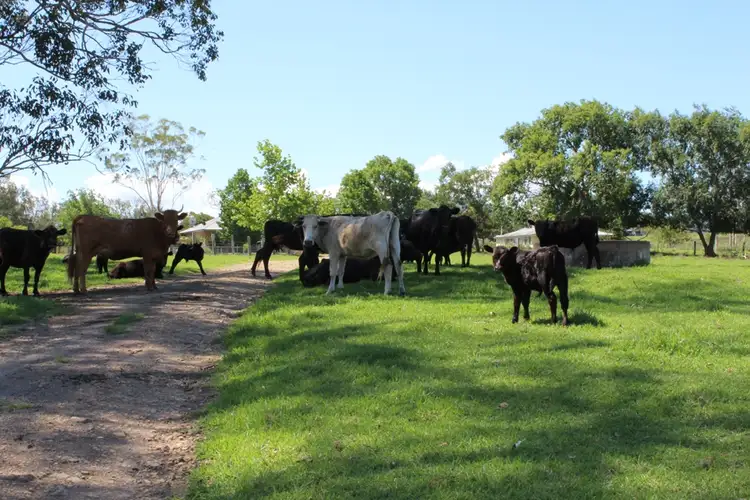 Fifth view of Homely rural property listing, - Salisbury Road, Dungog NSW 2420