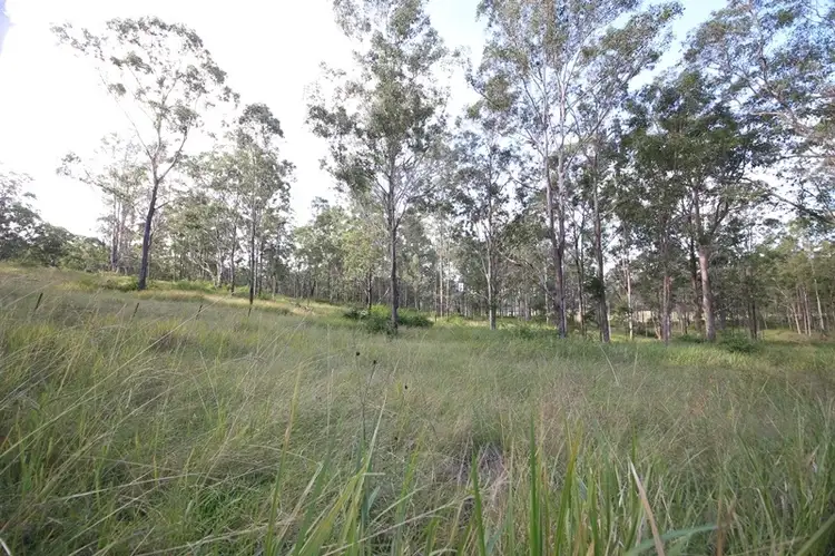 Sixth view of Homely rural property listing, 2208 Gwydir Highway, Ramornie NSW 2460