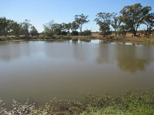 Second view of Homely rural property listing, 1416 HARTWOOD ROAD, Roma QLD 4455