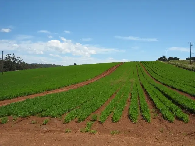 Second view of Homely rural property listing, 464 Stubbs Road, Forth TAS 7310