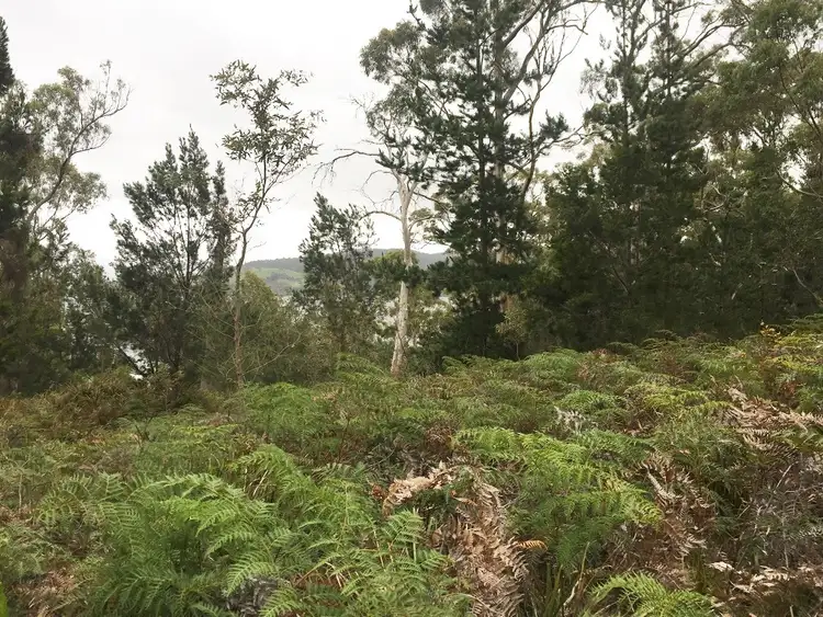 Sixth view of Homely land listing, 23 Coxs Drive, Dennes Point TAS 7150