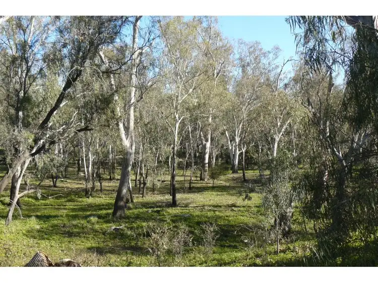 Third view of Homely house listing, 54 Wards Road, Goondiwindi QLD 4390