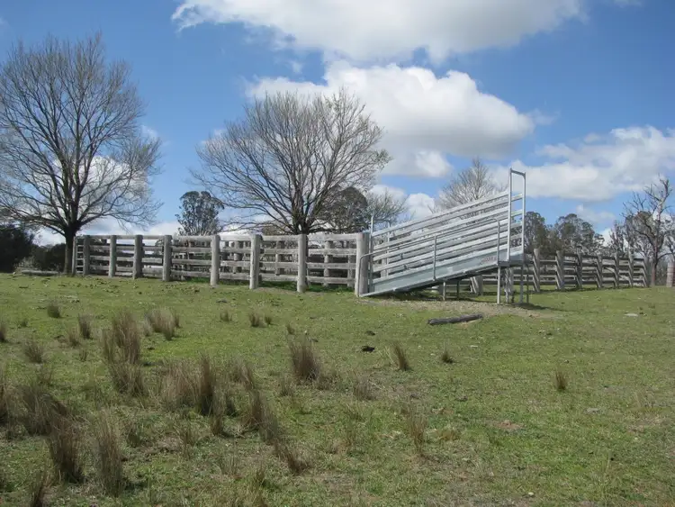 Sixth view of Homely rural property listing, 197 Spring Camp   road, Enmore NSW 2350